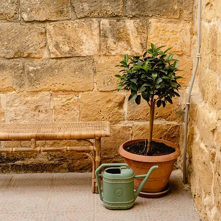 Charming & Stylish Historic With Pool *