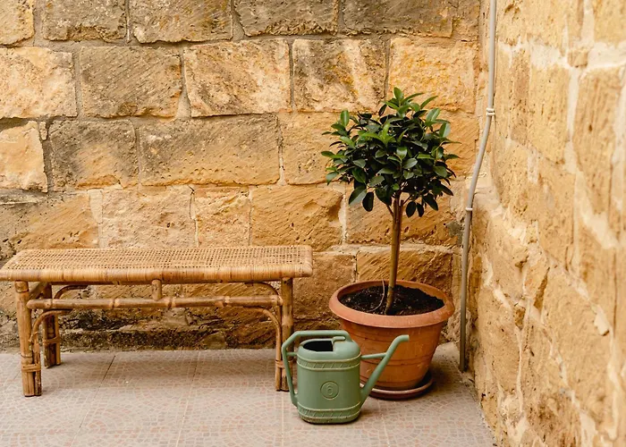 Charming & Stylish Historic With Pool *